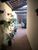 Casa, 2 quartos, 1 m² - Foto 5