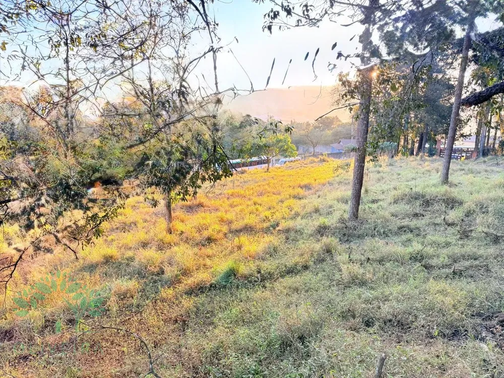 Loteamento e Condomínio, 3 hectares - Foto 3