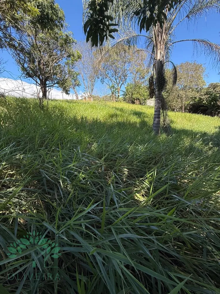 Loteamento e Condomínio, 5000 m² - Foto 4