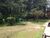 Chácara, 3 quartos, 2 hectares - Foto 1