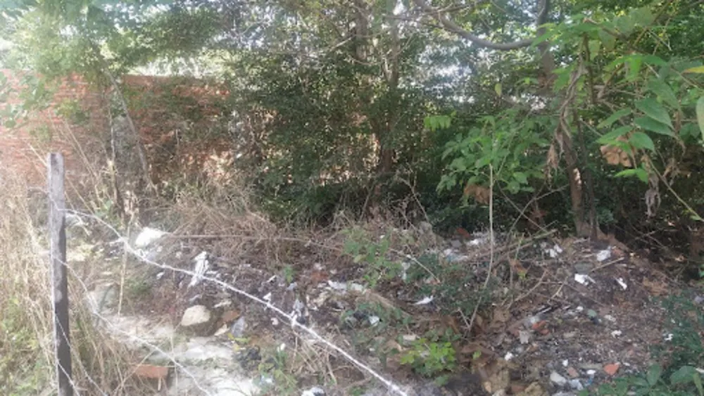 Terreno, 360 m² - Foto 6