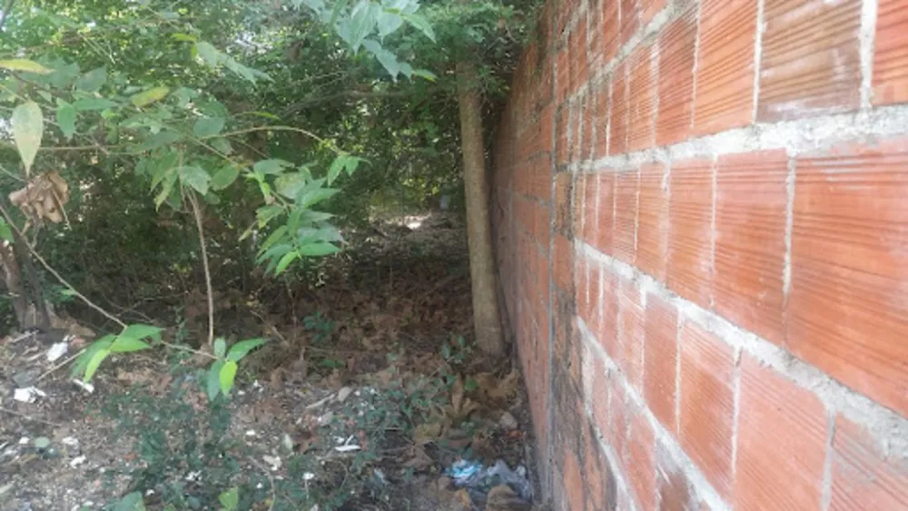 Terreno, 360 m² - Foto 7