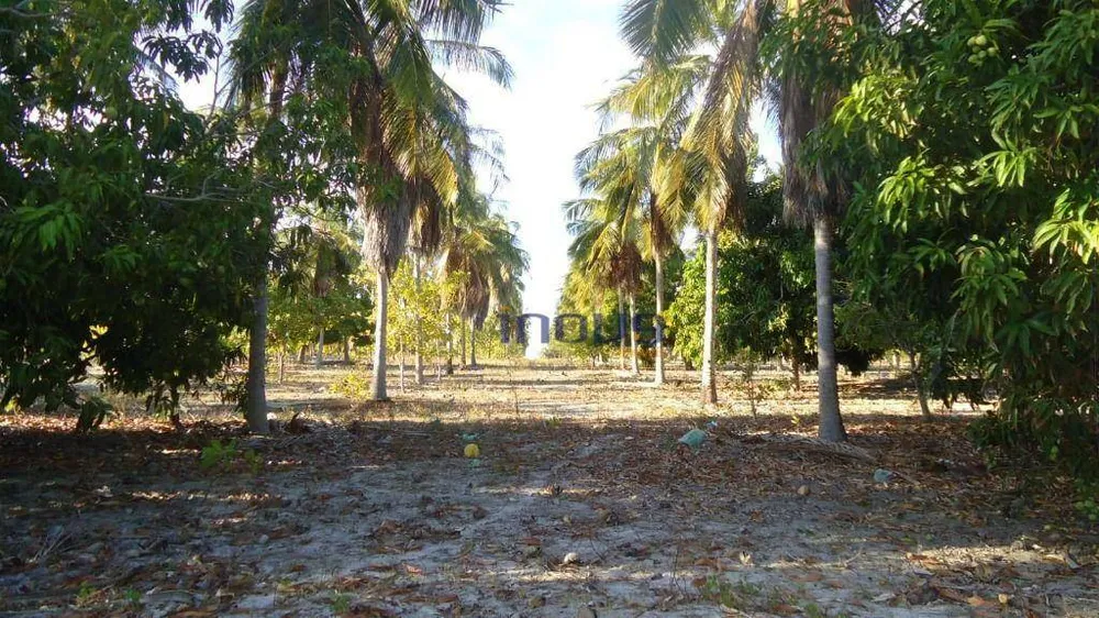 Terreno, 24 m² - Foto 9