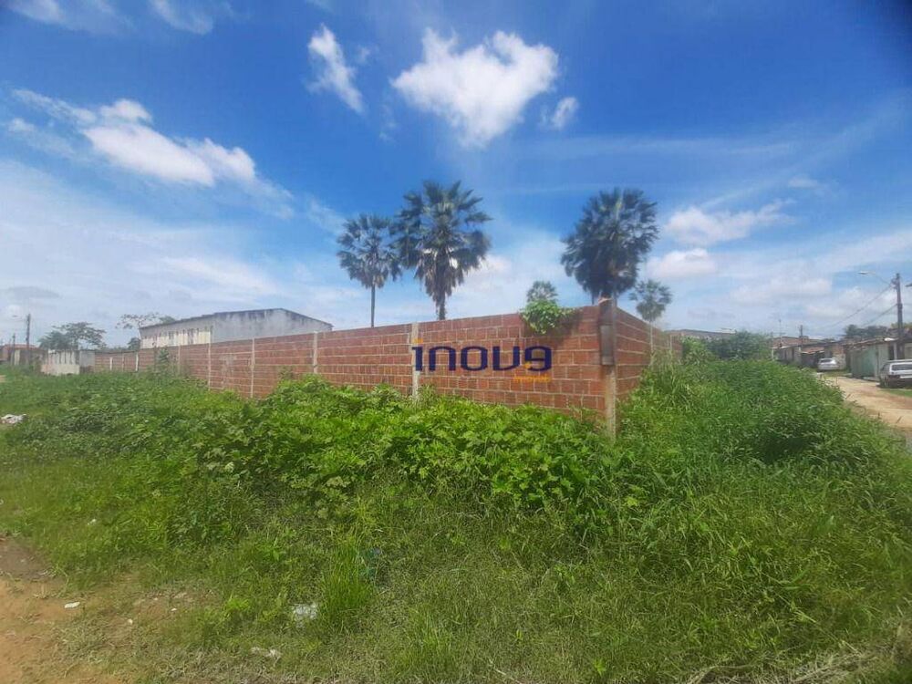 Terreno, 2484 m² - Foto 3