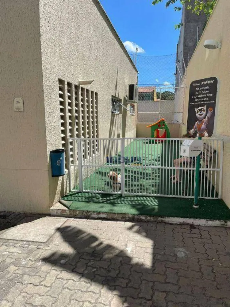Apartamento, 3 quartos, 60 m² - Foto 16