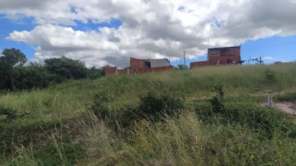Terreno, 40 hectares - Foto 10