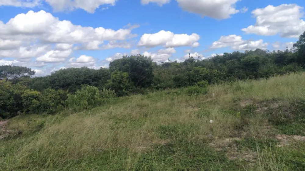 Terreno, 40 hectares - Foto 13