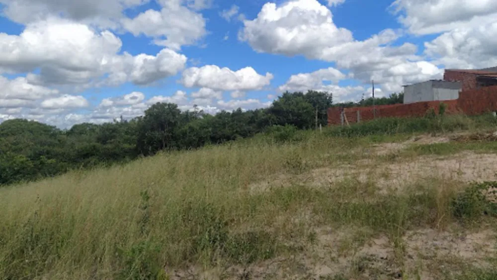 Terreno, 40 hectares - Foto 7