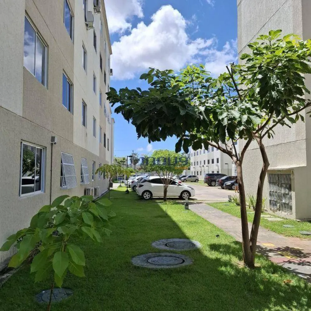 Apartamento, 2 quartos, 45 m² - Foto 15
