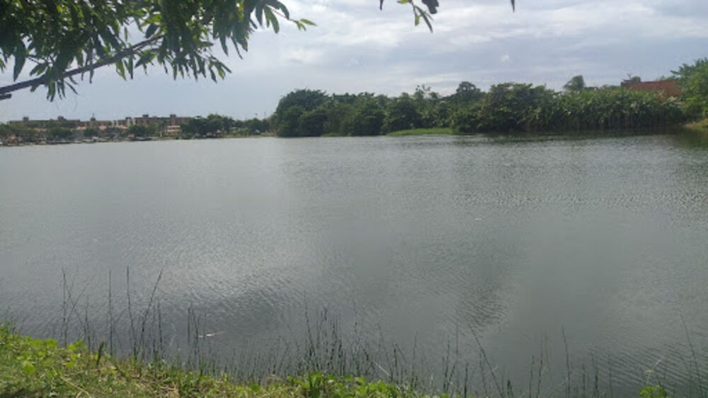 Terreno, 388 m² - Foto 7