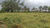 Terreno, 7700 m² - Foto 5