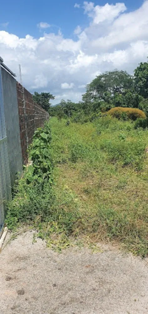 Terreno, 1 hectares - Foto 1
