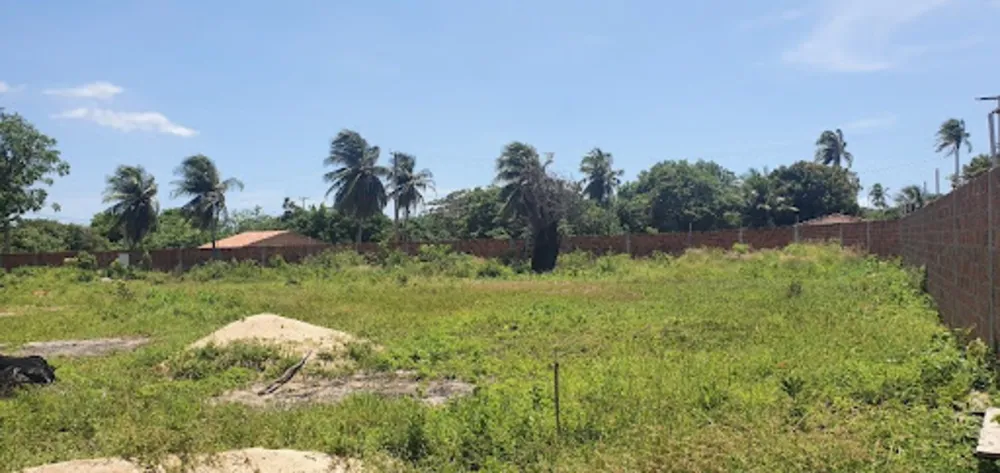 Terreno, 1 hectares - Foto 6
