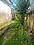 Terreno, 363 m² - Foto 1