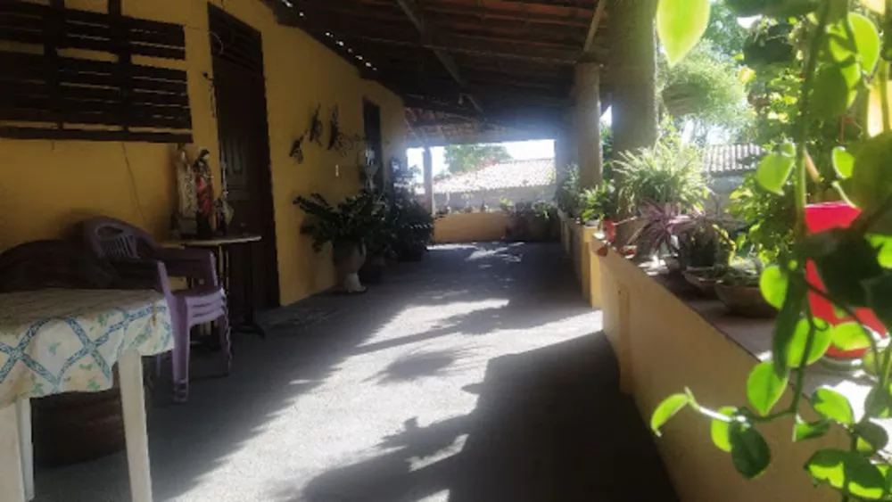 Sítio, 3 quartos, 2590 m² - Foto 13