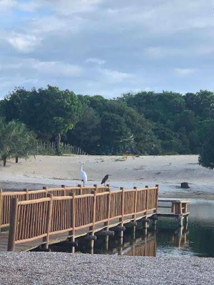 Sítio, 9 quartos, 3 hectares - Foto 1