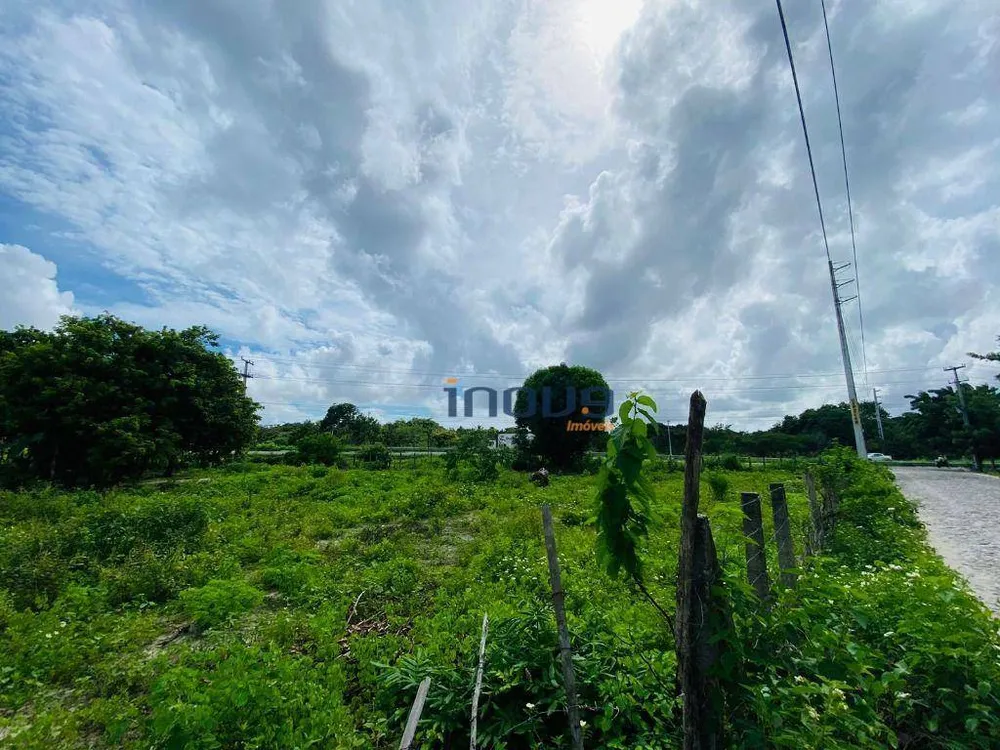 Terreno, 3000 m² - Foto 6