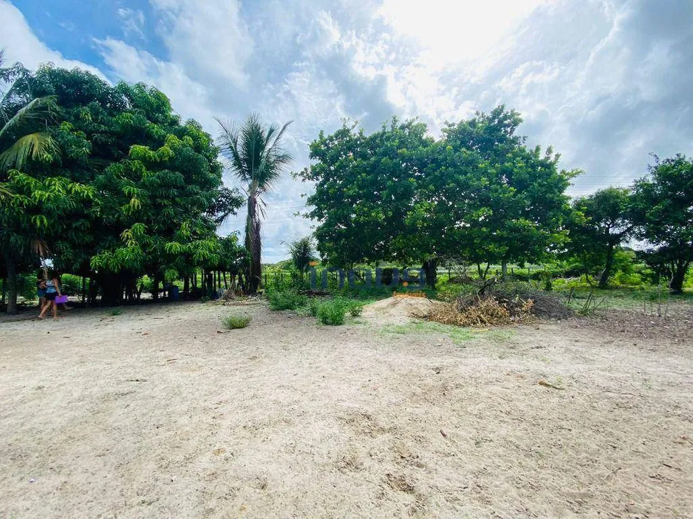 Terreno, 3000 m² - Foto 3