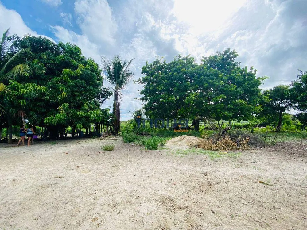 Terreno, 3000 m² - Foto 9