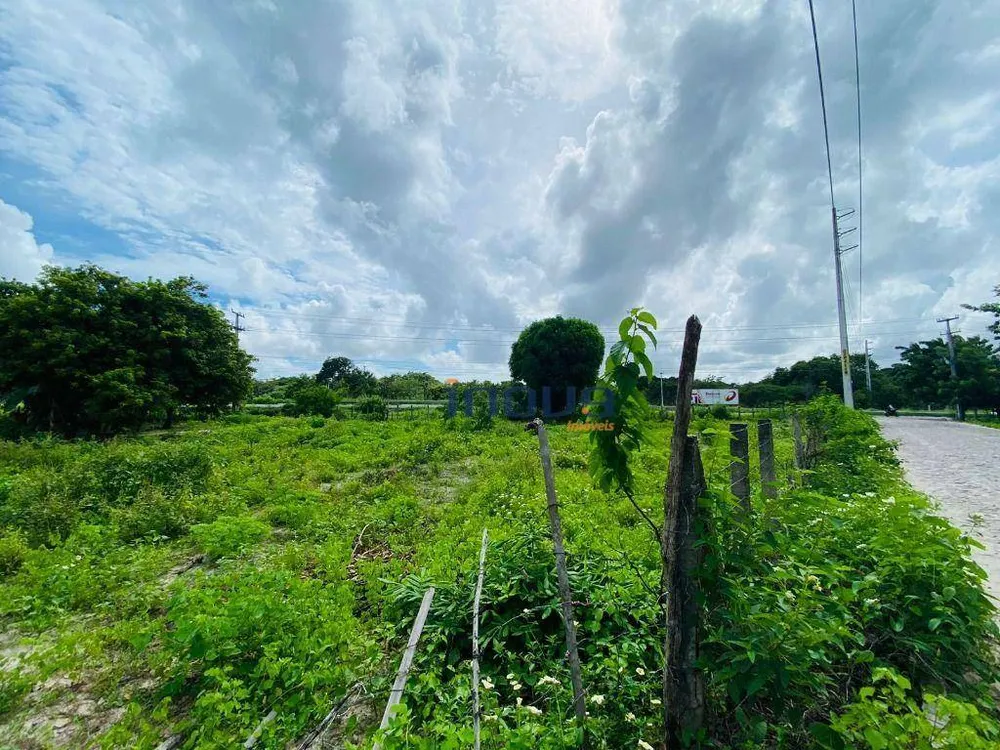 Terreno, 3000 m² - Foto 7