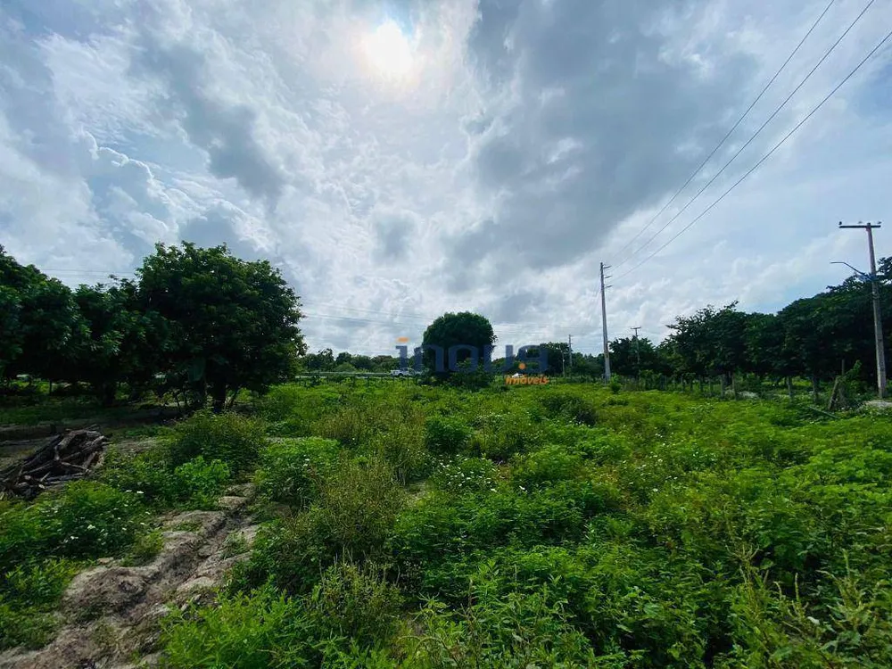 Terreno, 3000 m² - Foto 15