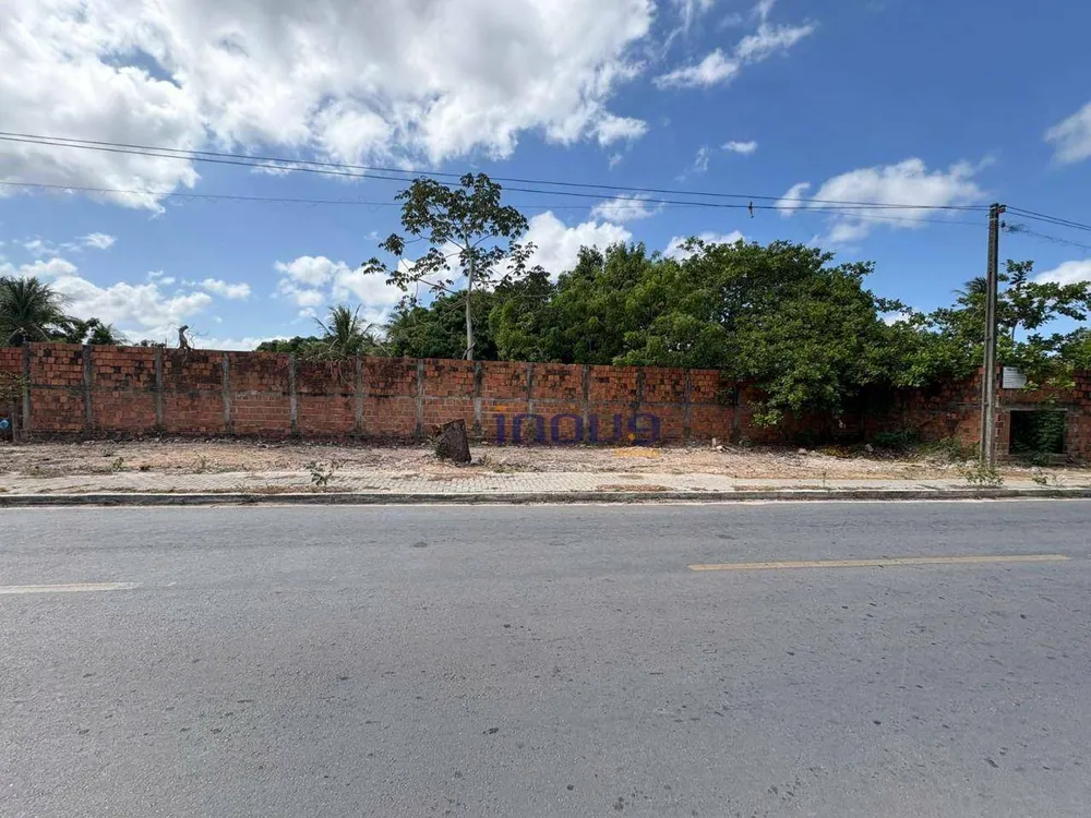 Terreno, 2 hectares - Foto 4