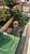 Apartamento, 2 quartos, 55 m² - Foto 5