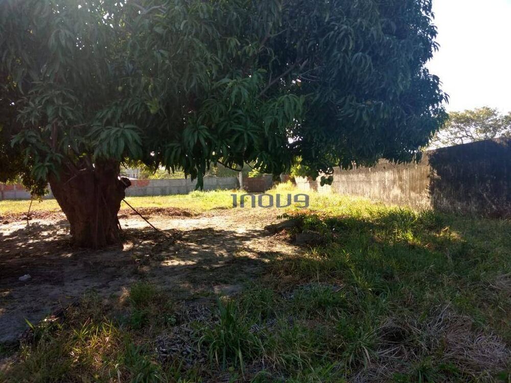 Terreno, 3450 m² - Foto 4