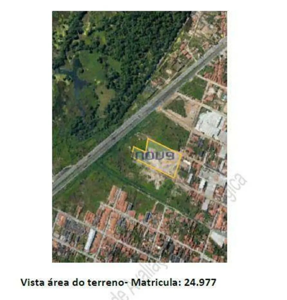 Terreno, 2 hectares - Foto 9