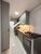 Apartamento, 3 quartos, 89 m² - Foto 4