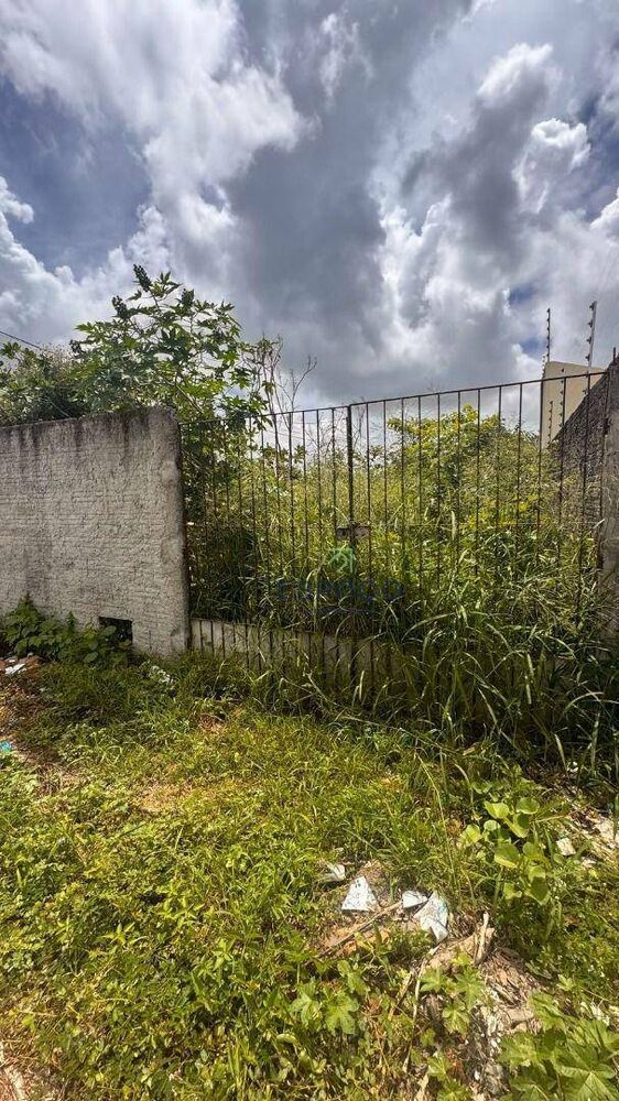 Terreno, 200 m² - Foto 1