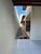 Casa, 2 quartos, 60 m² - Foto 5