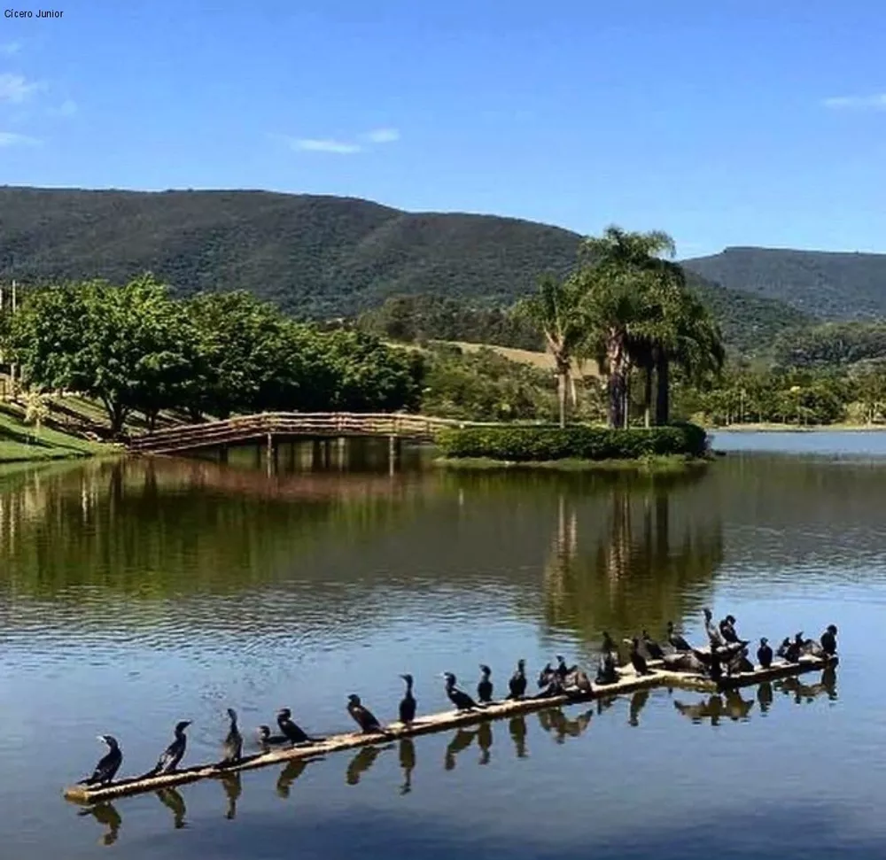 Terreno, 525 m² - Foto 4