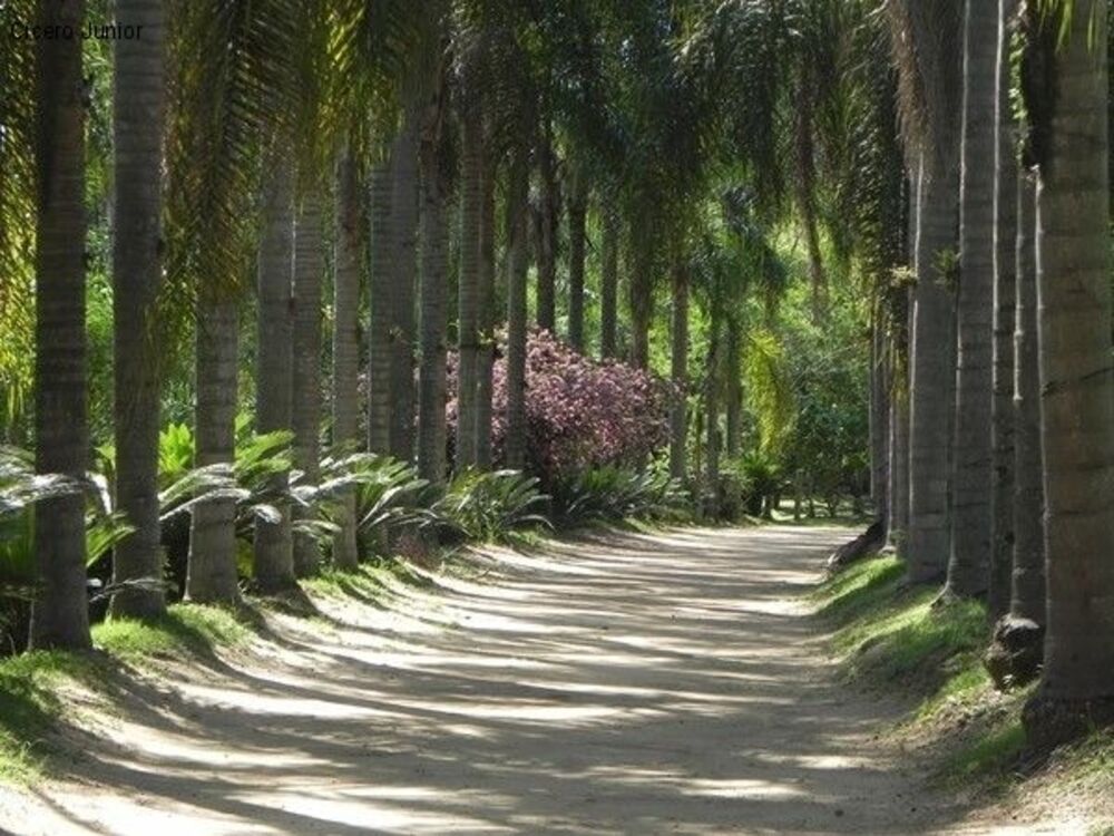 Terreno à venda, 800m² - Foto 5