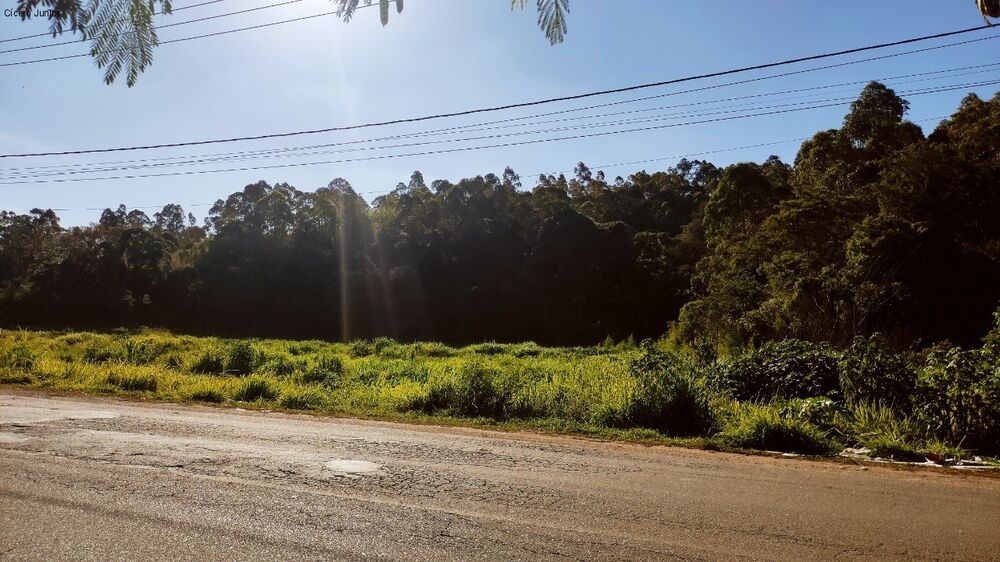 Terreno, 4 hectares - Foto 3