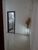 Chácara, 4 quartos - Foto 11