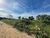 Terreno, 1000 m² - Foto 3