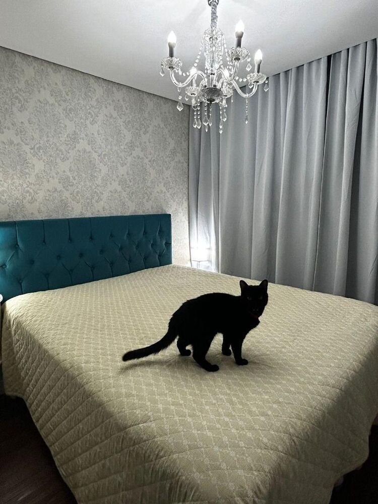 Apartamento, 3 quartos, 107 m² - Foto 11