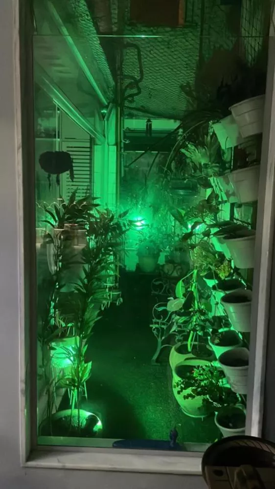 Apartamento, 3 quartos - Foto 8