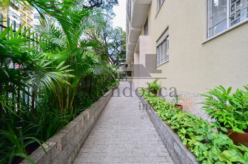 Apartamento, 3 quartos, 252 m² - Foto 19