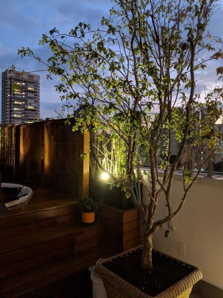 Apartamento, 2 quartos, 151 m² - Foto 4