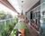Apartamento, 4 quartos, 253 m² - Foto 5