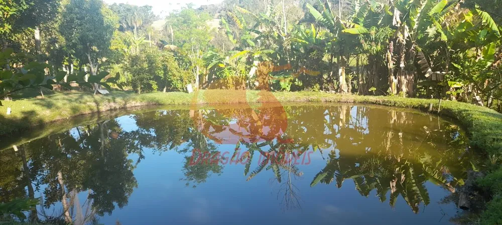 Chácara, 3 quartos - Foto 6