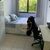 Apartamento, 2 quartos, 67 m² - Foto 11