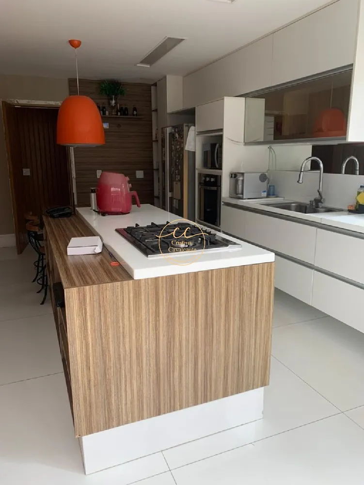 Casa, 4 quartos, 380 m² - Foto 21