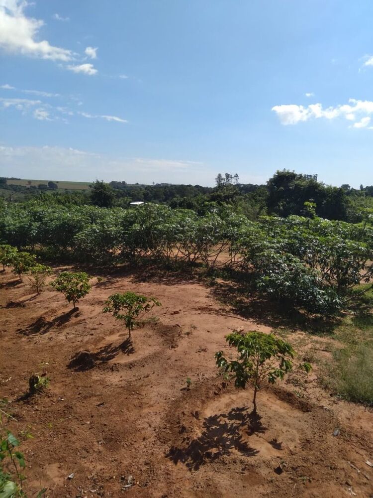 Chácara, 2400 m² - Foto 3