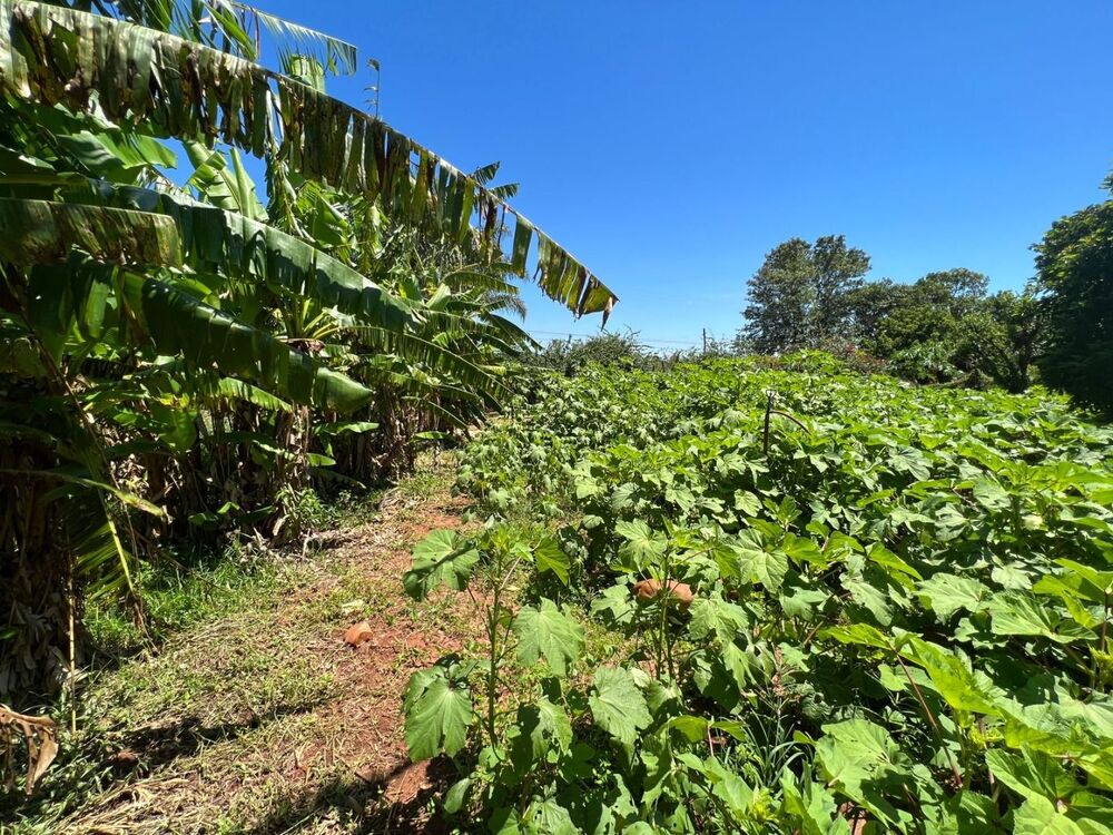 Chácara, 1500 m² - Foto 5