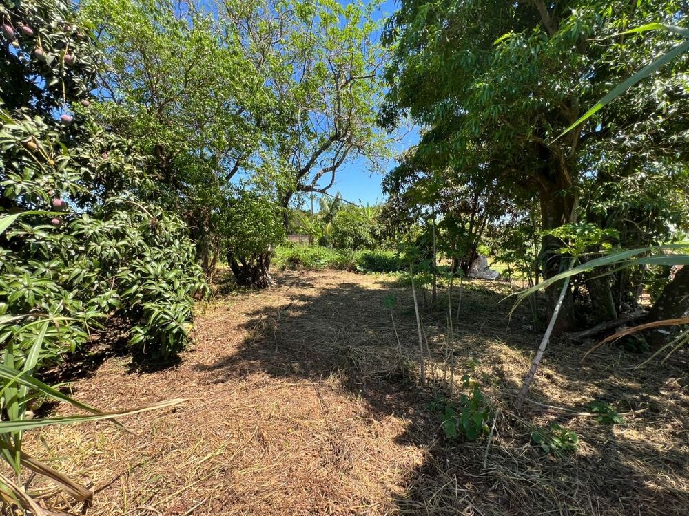 Chácara, 1500 m² - Foto 12