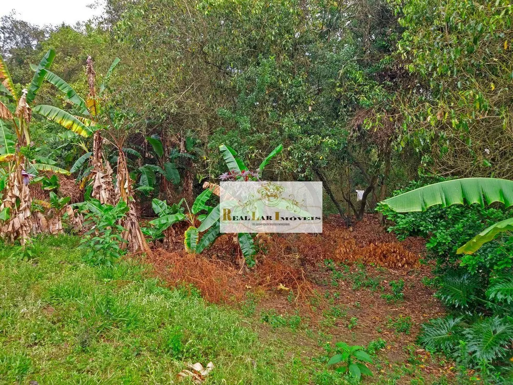Chácara, 1 quarto, 2800 m² - Foto 2