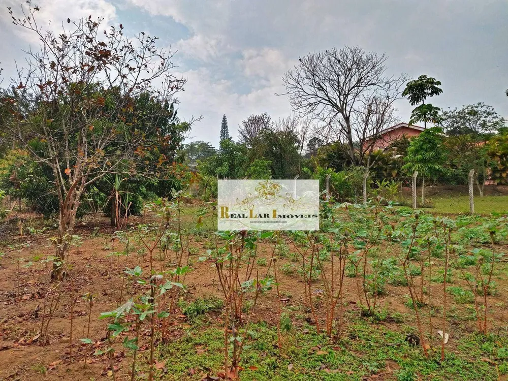 Chácara, 1 quarto, 2800 m² - Foto 3